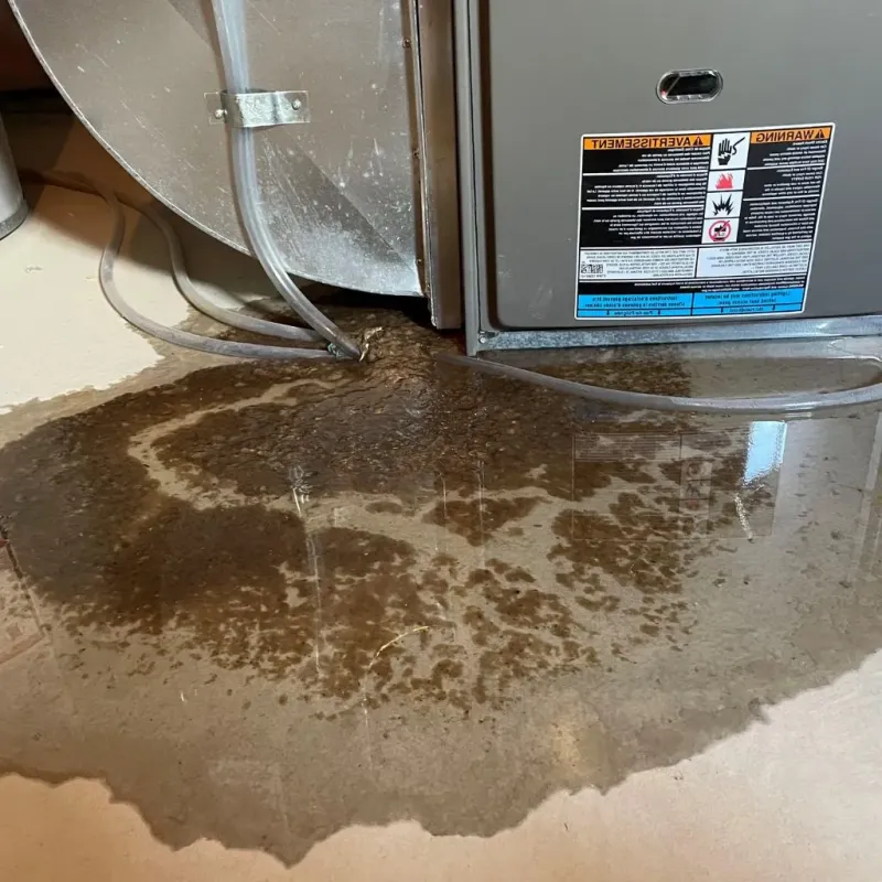 Pipe Burst and Leak Restoration in Perryville, MD